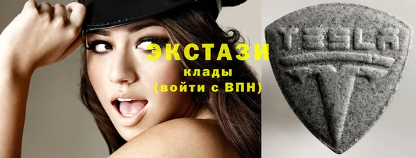 ешки Ельня