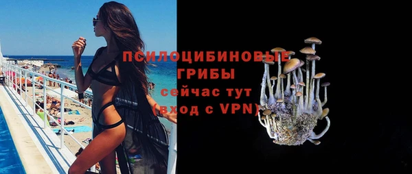 ешки Алексин