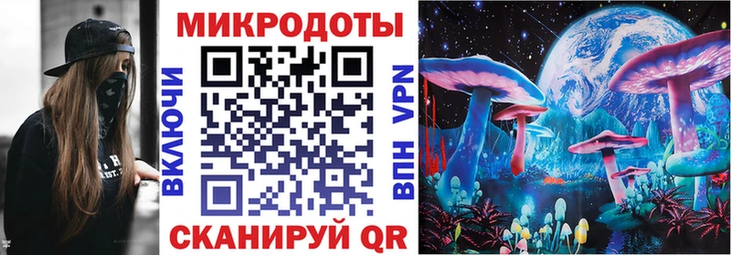Галлюциногенные грибы мицелий  что такое   shop клад  Елец 